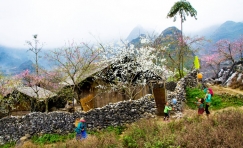 Natural Beauty of Northest Vietnam 9 Days